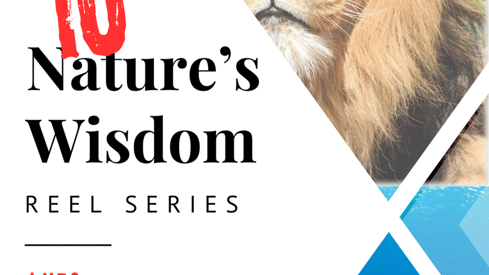 Nature's Wisdom Reel Series